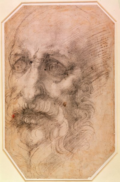 Portret van een Bebaarde Man door Michelangelo Buonarroti